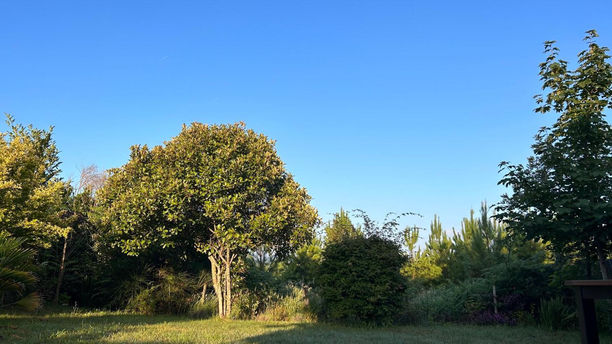 Jolie Maison De Vacances Avec Terrasse Et Jardin Saint-Julien-en-Born Exterior foto